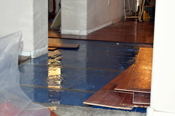 Professional Sewage Cleanup technician working in Alcove, NY